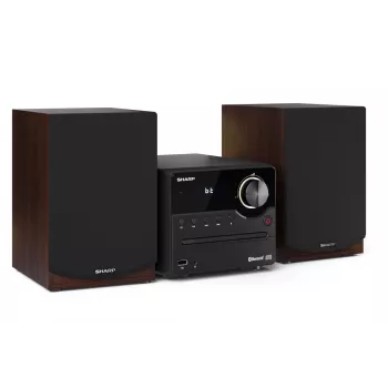 Sharp XL-B512(BR) home-audiosysteem micro-audioset 45 W bruin