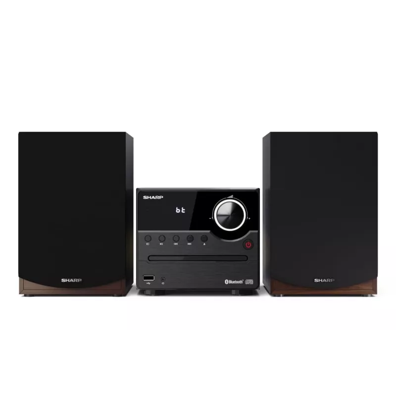 Sharp XL-B512(BR) home-audiosysteem micro-audioset 45 W bruin