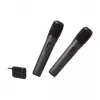 Microfoonset JBL Wireless Two Microphone System