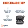 HP Poly Voyager Free 60 UC M Carbon zwart earbuds +BT700 USB-C-adapter +Basic Charge Case