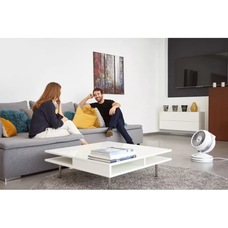 Rowenta HQ7152 Binnen Wit, Zilver Ventilator elektrische ruimteverwarmer