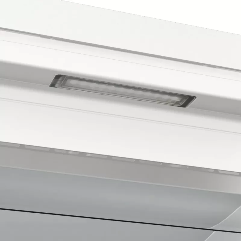 Gorenje FN619EAW6 vriezer vrijstaand 280 L wit
