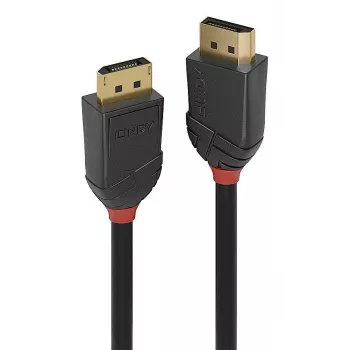 Lindy 36515 DisplayPort-kabel 0,5 m zwart