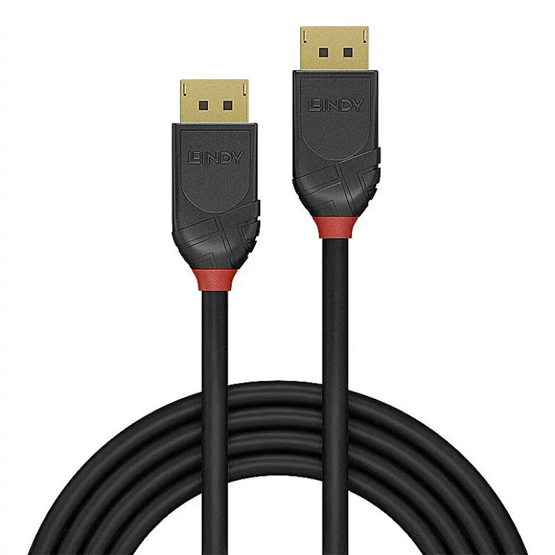 Lindy 36516 DisplayPort-kabel 1 m zwart