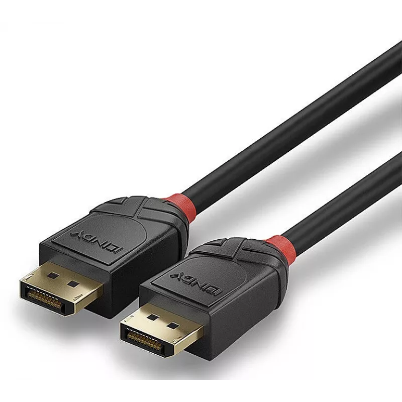Lindy 36517 DisplayPort-kabel 2 m zwart