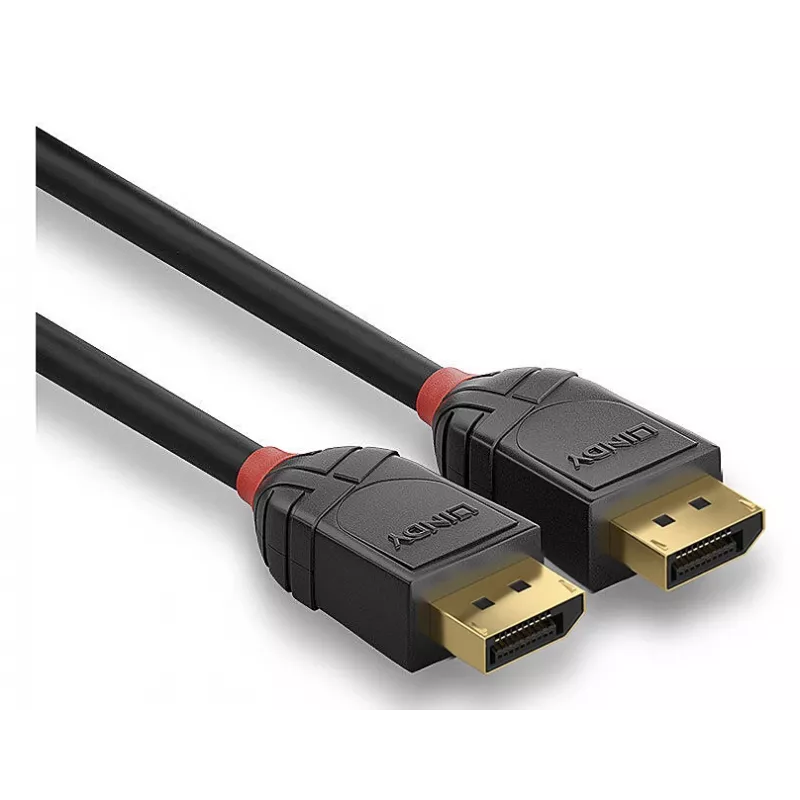 Lindy 36519 DisplayPort-kabel 5 m zwart