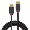 Lindy 36521 DisplayPort-kabel 2 m zwart