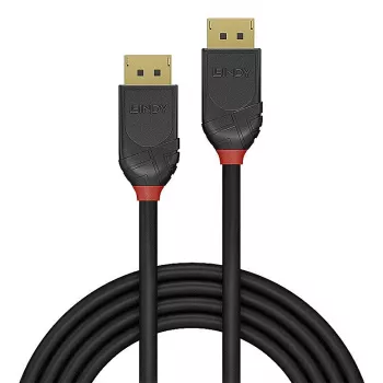 Lindy 36521 DisplayPort-kabel 2 m zwart
