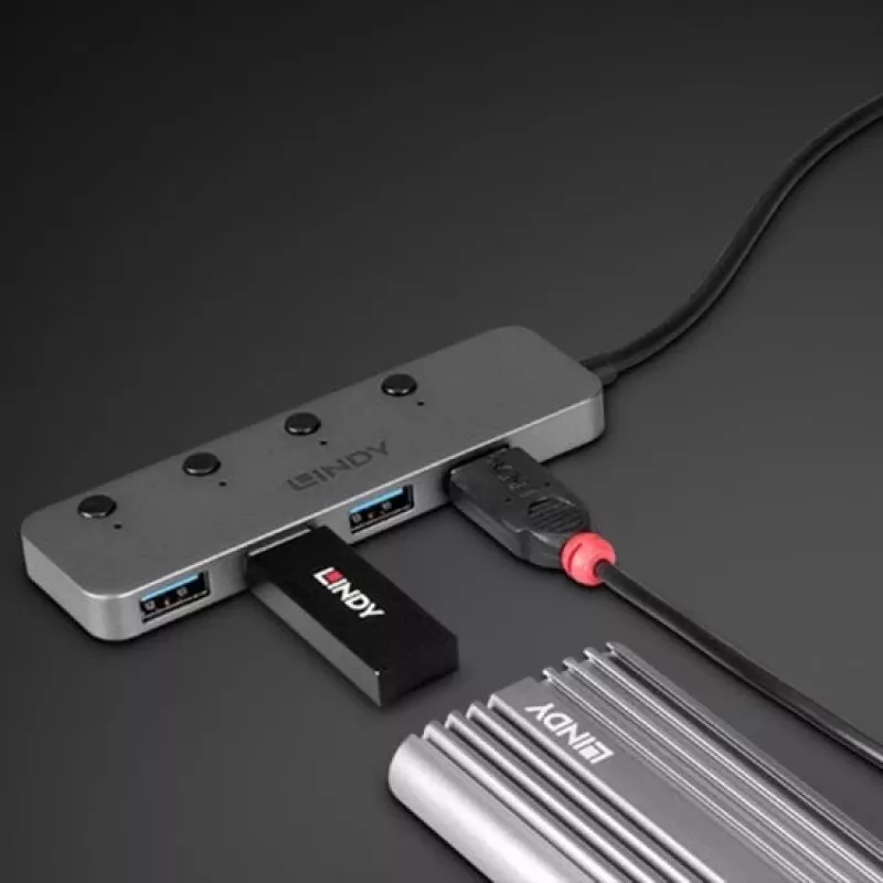 Lindy 4-poorts USB 3.2 Type-C hub met aan-/uitknoppen