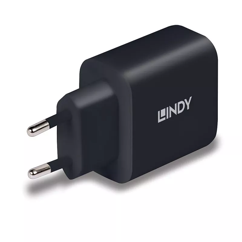 Lindy 73426 mobiele oplader universeel zwart AC snelladen binnen