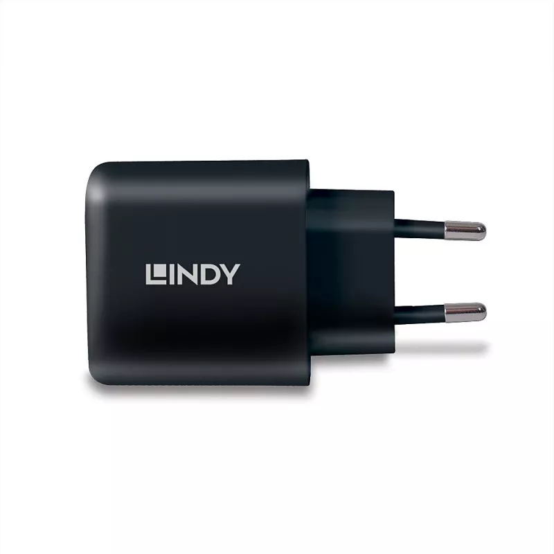 Lindy 73426 mobiele oplader universeel zwart AC snelladen binnen