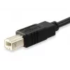 Equip USB 2.0 Type-C-naar-Type-B-kabel, 1 m, USB B, USB C, USB 2.0, stekker/stekker, zwart