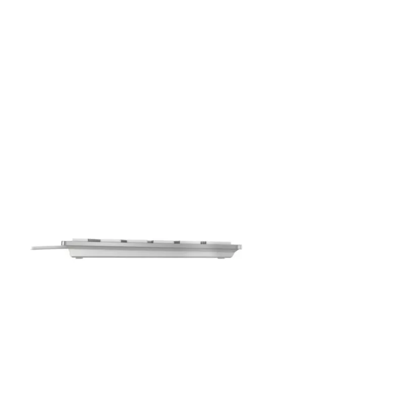 CHERRY KC 6000C FOR MAC bedraad USB QWERTY schakelaars zilver 1,8 m