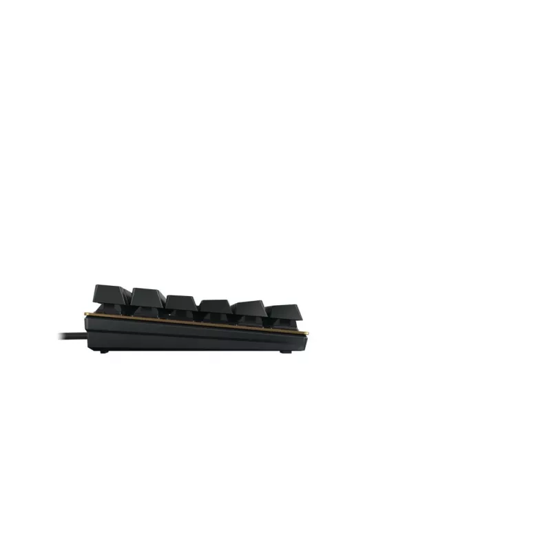 CHERRY KC 200 MX toetsenbord universeel USB AZERTY Frans zwart, brons