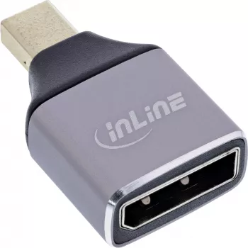 InLine 17291C Kabeladapter DisplayPort Mini DisplayPort grijs, zwart