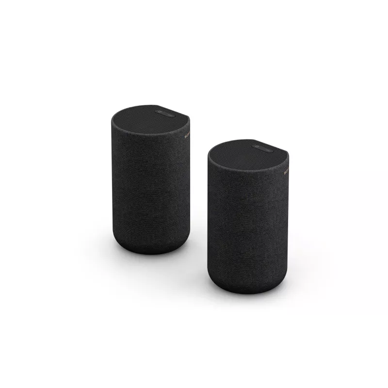 Sony SA-RS5 2-weg Zwart Bedraad & Draadloos 180 W