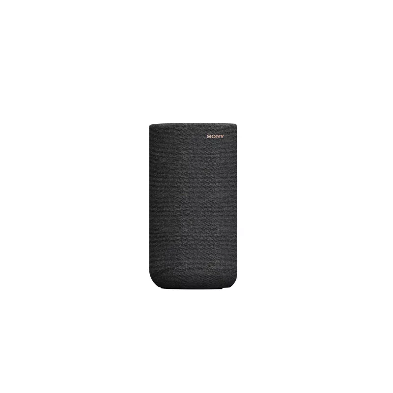 Sony SA-RS5 2-weg Zwart Bedraad & Draadloos 180 W