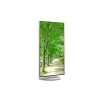 Sharp MultiSync EA272U computermonitor 68,6 cm (27 inch) 3840 x 2160 pixel 4K Ultra HD lcd wit
