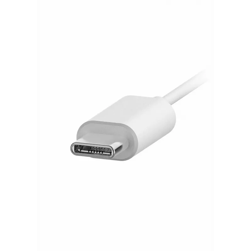 Philips TAE5008WT/00 hoofdtelefoon/headset bedraad in-ear gesprekken/muziek USB Type-C wit