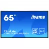 Digital-signagedisplay IIYAMA LH6552UHS-B1 64,5 inch IPS 4K 3840x2160 500 cd/m² Android 8.0 24/7 zwart