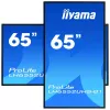 Digital-signagedisplay IIYAMA LH6552UHS-B1 64,5 inch IPS 4K 3840x2160 500 cd/m² Android 8.0 24/7 zwart