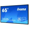 Digital-signagedisplay IIYAMA LH6552UHS-B1 64,5 inch IPS 4K 3840x2160 500 cd/m² Android 8.0 24/7 zwart