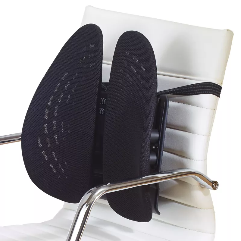 Mesh-rugsteun Kensington SmartFit Conform