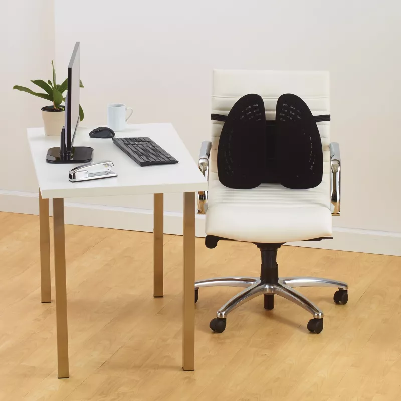 Mesh-rugsteun Kensington SmartFit Conform