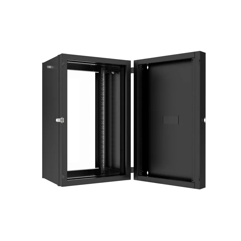Lanview RWP20U45BL-D rackkast 20U wandmontage rack zwart