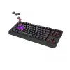 GENESIS Thor 230 TKL toetsenbord gaming USB + RF draadloos + Bluetooth QWERTZ zwart