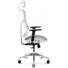 Ergonomische bureaustoel Diablo Chairs V-Basic wit-grijs – verstelbare hoogte en helling, armleuningen, lendensteun