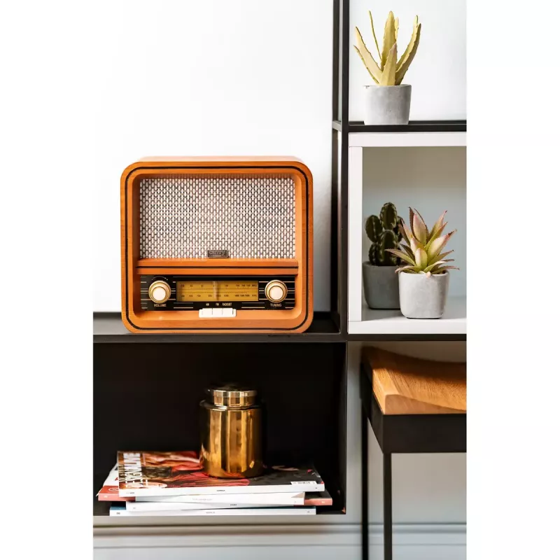 Persoonlijke radio Camry Premium CR 1188