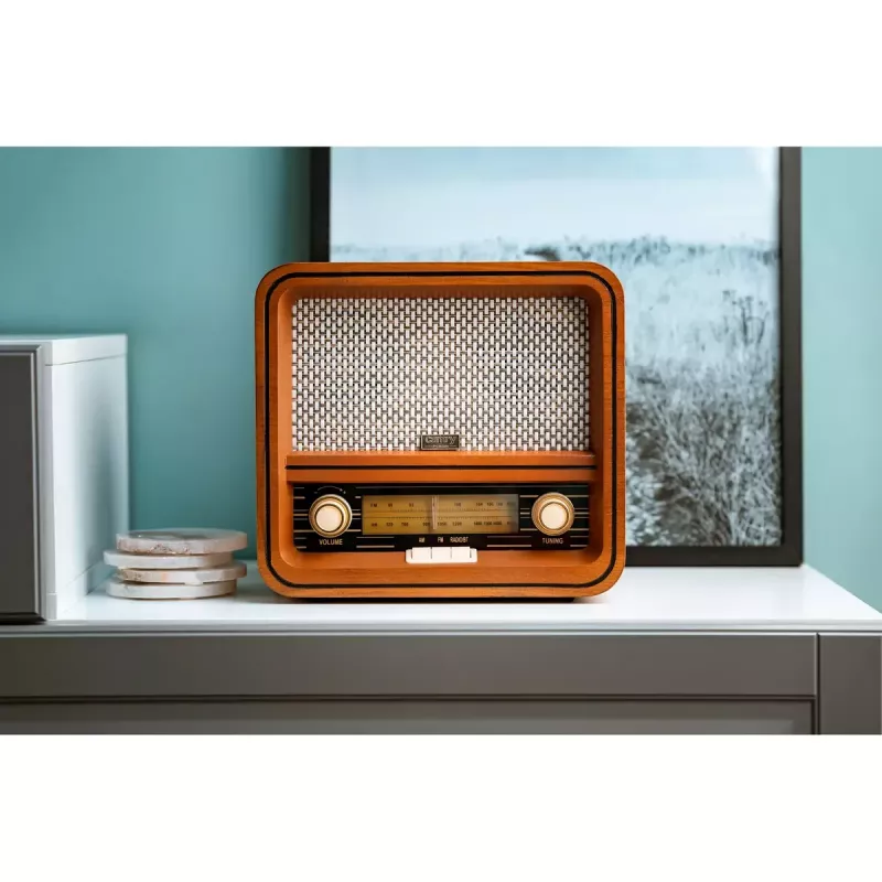 Persoonlijke radio Camry Premium CR 1188