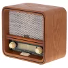 Persoonlijke radio Camry Premium CR 1188