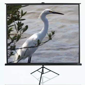 Statiefprojectiescherm Elite Screens T100UWV1 2,54 m (100 inch) 4:3