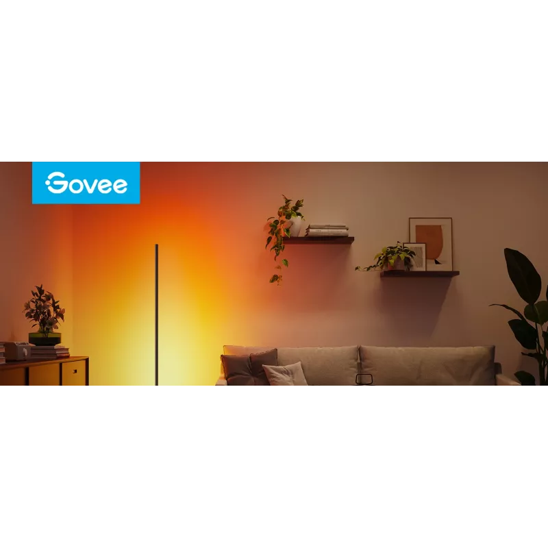 Govee Floor Lamp 2 vloerlamp, Matter-ready, zwart