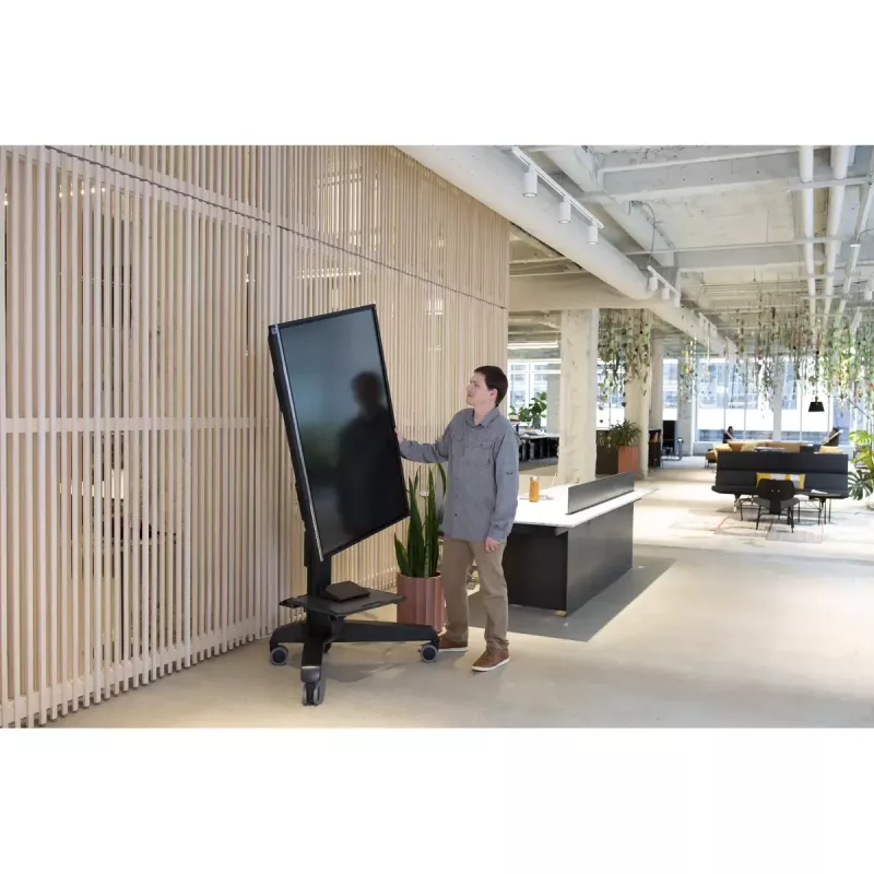 Multimediawagen Ergotron Neo-Flex Mobile MediaCenter VHD