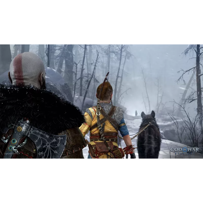 Sony God of War Ragnarök, PlayStation 5, M (Mature), fysieke drager