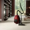 Electrolux PD82-ANIMA 3,5 L cilinderstofzuiger droog 600 W stofzak
