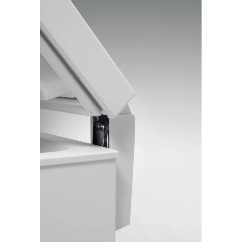 Whirlpool WH1410 E2 2 vrieskist losstaand 132 L wit