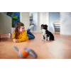 Philips PowerPro Expert FC9745/09 stofzuiger 2 L cilinderstofzuiger droog 900 W zakloos