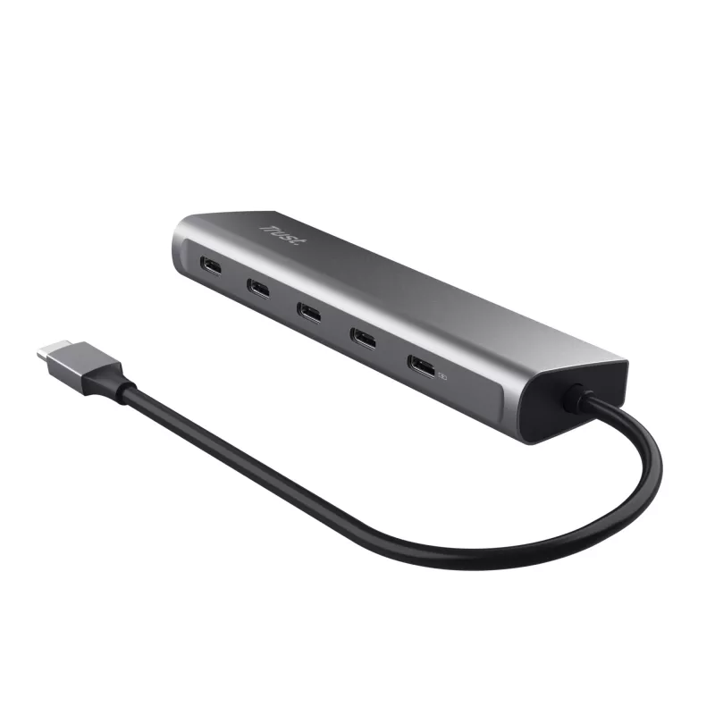 Trust Halyx USB 3.2 Gen 1 (3.1 Gen 1) Type-C zilver
