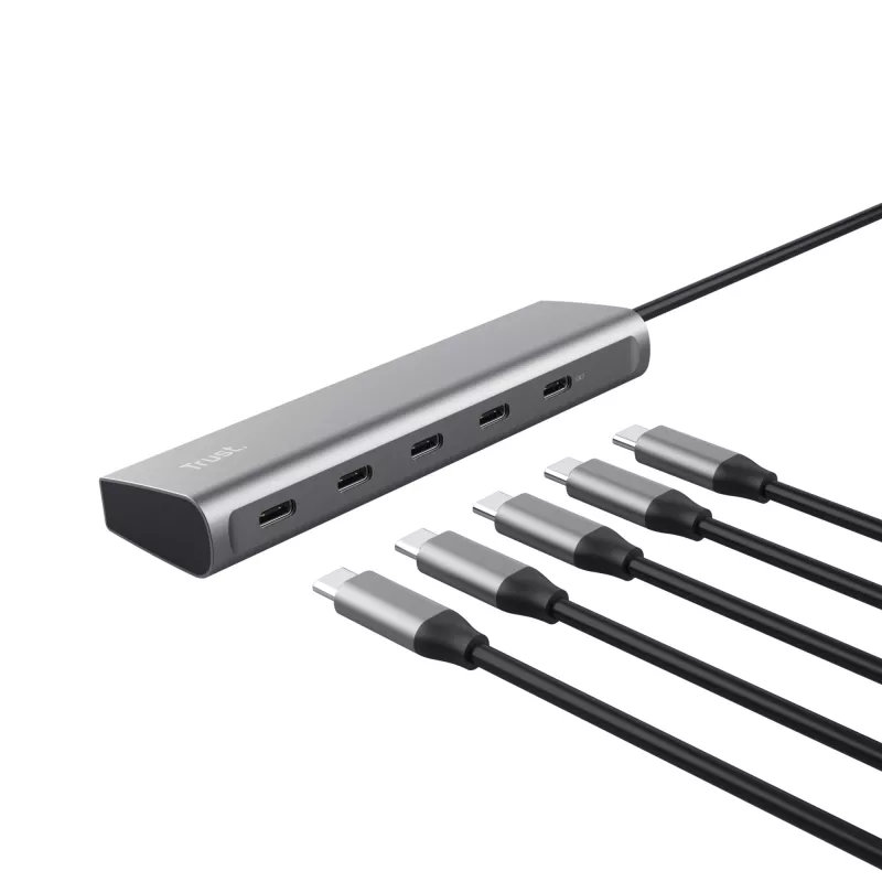 Trust Halyx USB 3.2 Gen 1 (3.1 Gen 1) Type-C zilver