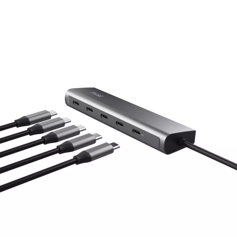 Trust Halyx USB 3.2 Gen 1 (3.1 Gen 1) Type-C zilver