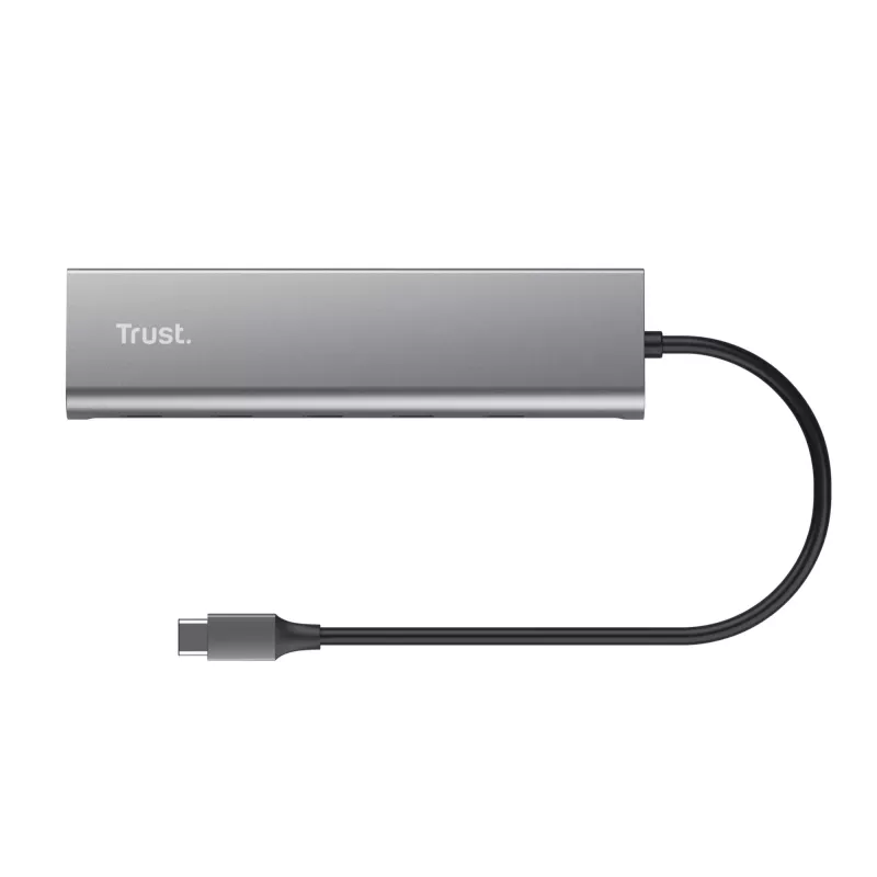Trust Halyx USB 3.2 Gen 1 (3.1 Gen 1) Type-C zilver