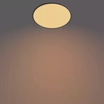 Plafondlamp Philips Functional Super slank 36 W LED zwart rond