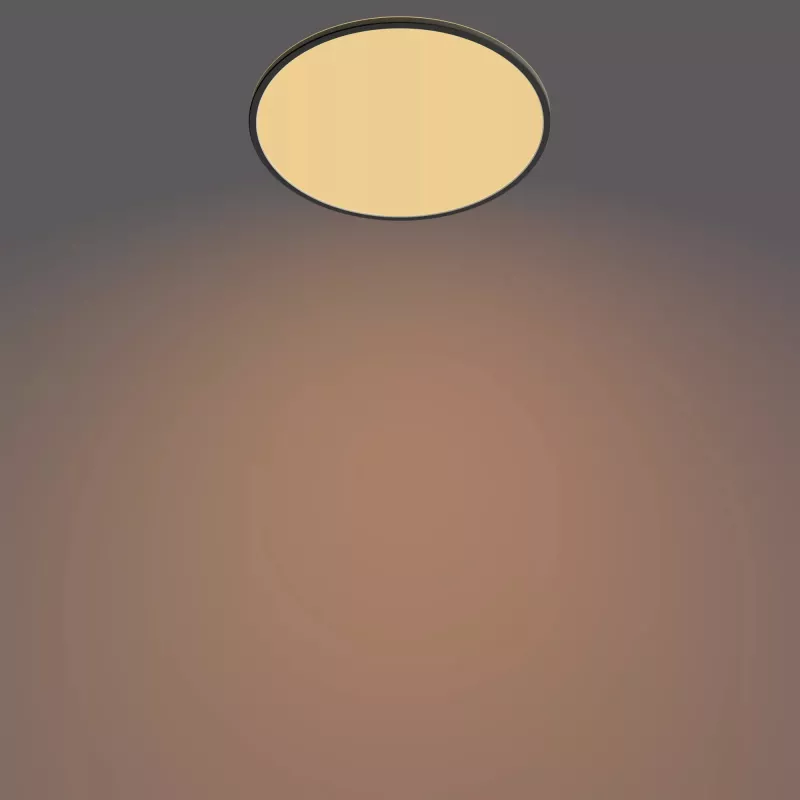 Plafondlamp Philips Functional Super slank 36 W LED zwart rond