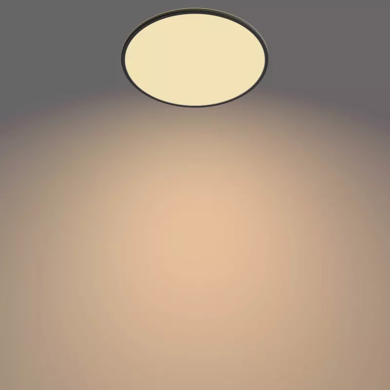 Plafondlamp Philips Functional Super slank 36 W LED zwart rond