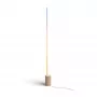 Slimme staande lamp Philips Hue