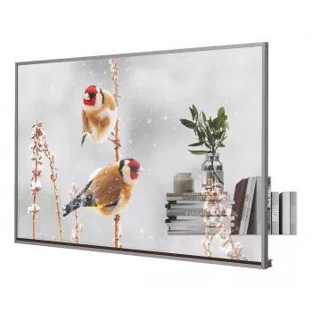 LG 55EW5P-M Signage Display 139,7 cm (55 inch) OLED 600 cd/m² Full HD zilver touchscreen 18/7